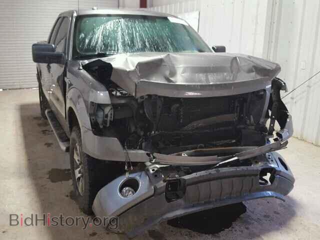 Фотография 1FTFX1EF5DFD99743 - FORD F150 2013