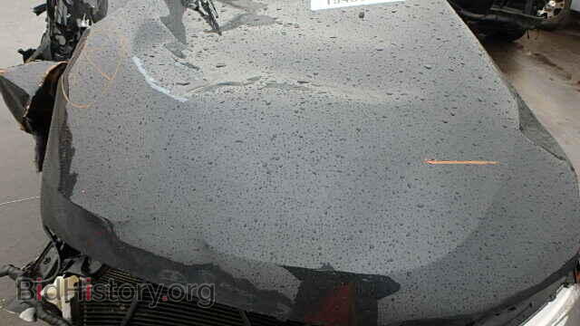 2012 DODGE DURANGO - VIN: 1C4RDJDG3CC329805 - Фото 10