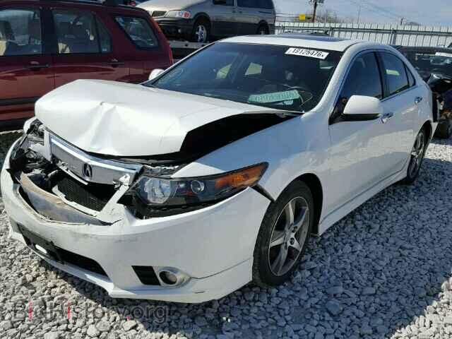 2012 ACURA TSX - VIN: JH4CU2E87CC015592 - Фото 2