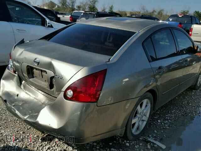 2005 NISSAN MAXIMA - VIN: 1N4BA41E45C856405 - Фото 4