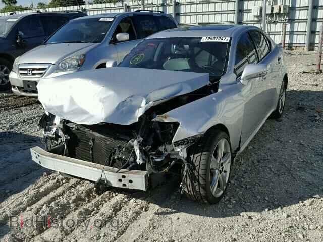 2013 LEXUS IS250 - VIN: JTHBF5C28D5193510 - Фото 2