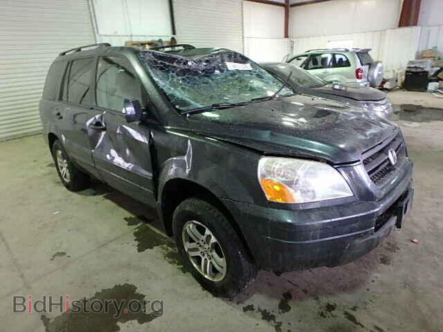 Photo 5FNYF18415B067200 - HONDA PILOT 2005
