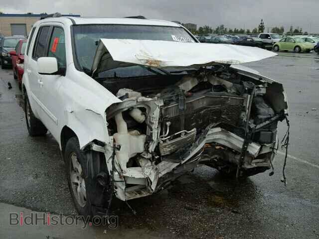 Фотография 5FNYF3H55BB002883 - HONDA PILOT 2011