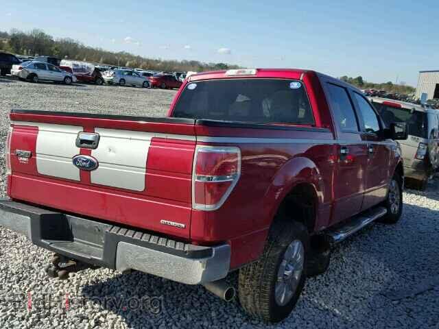 2011 FORD F150 - VIN: 1FTFW1CF3BFD33548 - Фото 4