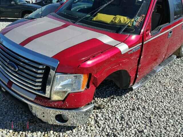 2011 FORD F150 - VIN: 1FTFW1CF3BFD33548 - Фото 9