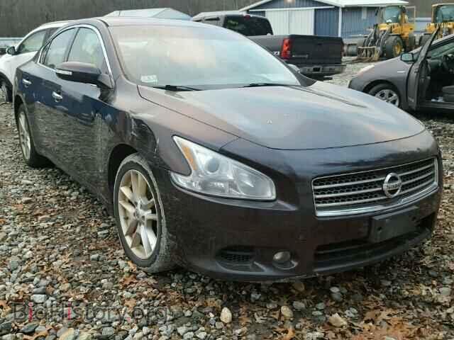Фотография 1N4AA5AP1AC825951 - NISSAN MAXIMA 2010
