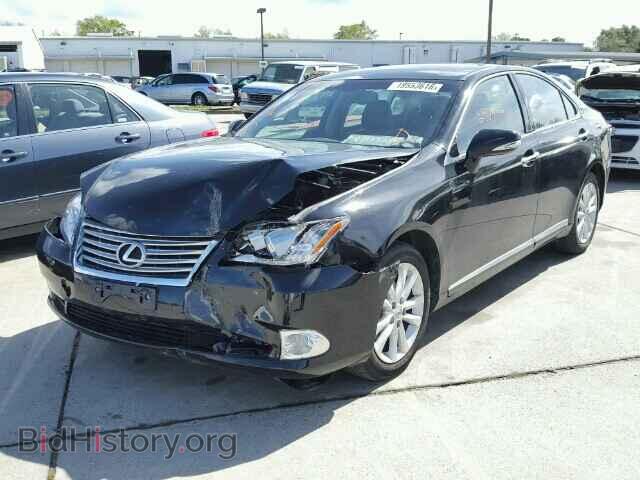 2010 LEXUS ES350 - VIN: JTHBK1EG0A2371663 - Фото 2