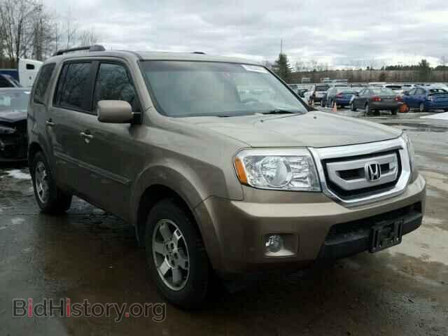 Фотография 5FNYF48969B007030 - HONDA PILOT 2009