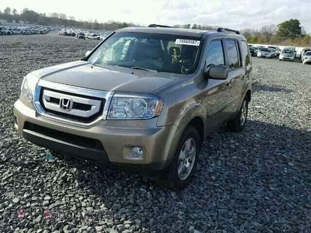 2011 HONDA PILOT - VIN: 5FNYF3H64BB017092 - Фото 2