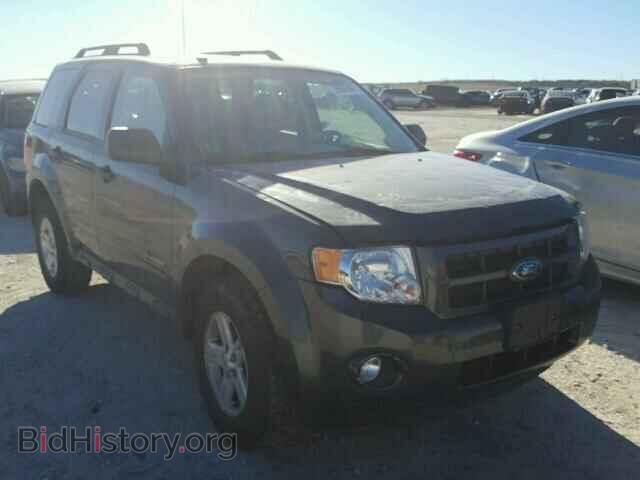Фотография 1FMCU49369KD13279 - FORD ESCAPE 2009