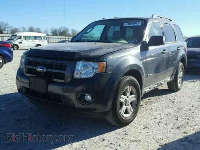 2009 FORD ESCAPE - VIN: 1FMCU49369KD13279 - Фото 2