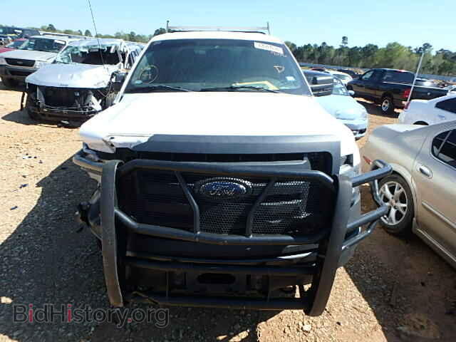 2011 FORD F150 - VIN: 1FTVX1EF5BKE19070 - Фото 10