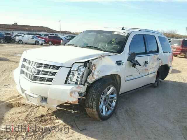 2013 CADILLAC ESCALADE - VIN: 1GYS3DEF7DR263408 - Фото 2