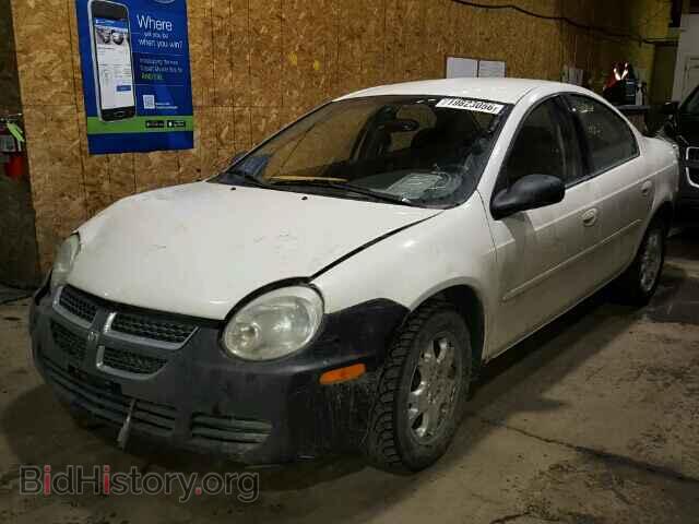 2004 DODGE NEON - VIN: 1B3ES56C44D568671 - Фото 2
