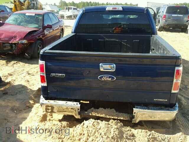 2011 FORD F150 - VIN: 1FTFW1EF0BFD00259 - Фото 10