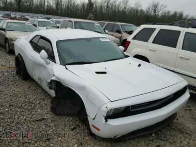 2013 Dodge CHALLENGER, white — VIN 2C3CDYAG9DH670910, Copart