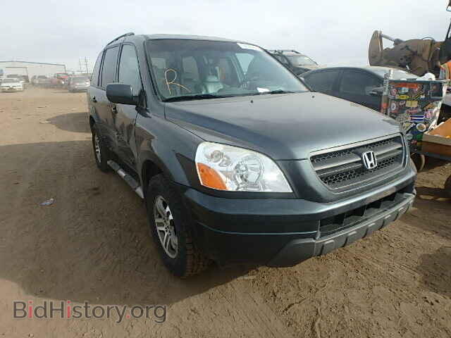 Photo 5FNYF18595B053263 - HONDA PILOT 2005