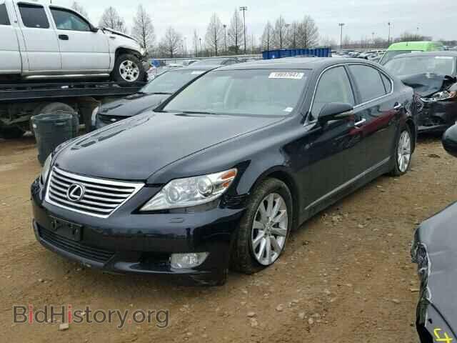 2011 LEXUS LS460 - VIN: JTHDL5EF1B5002976 - Фото 2