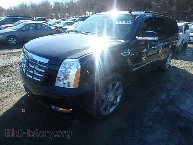 2010 CADILLAC ESCALADE - VIN: 1GYUKJEF9AR214216 - Фото 2