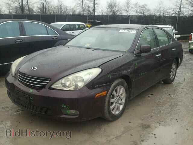 2003 LEXUS ES300 - VIN: JTHBF30G436010004 - Фото 2