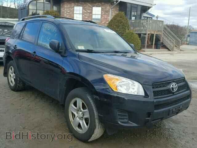 Фотография 2T3BF4DV1BW116147 - TOYOTA RAV4 2011