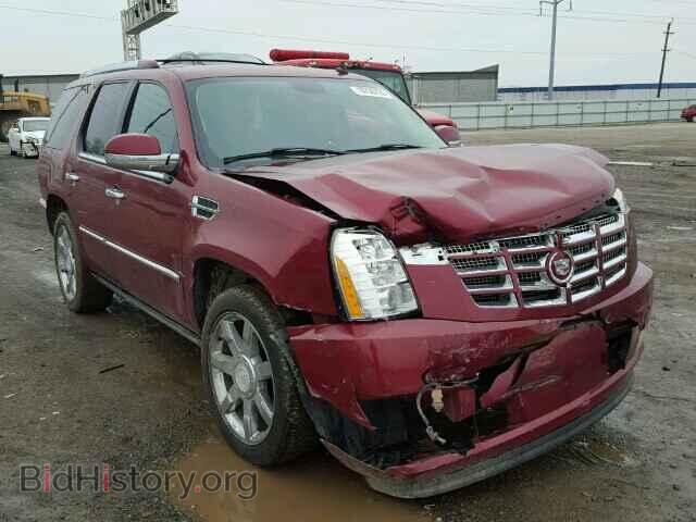 Фотография 1GYEC63848R124792 - CADILLAC ESCALADE 2008