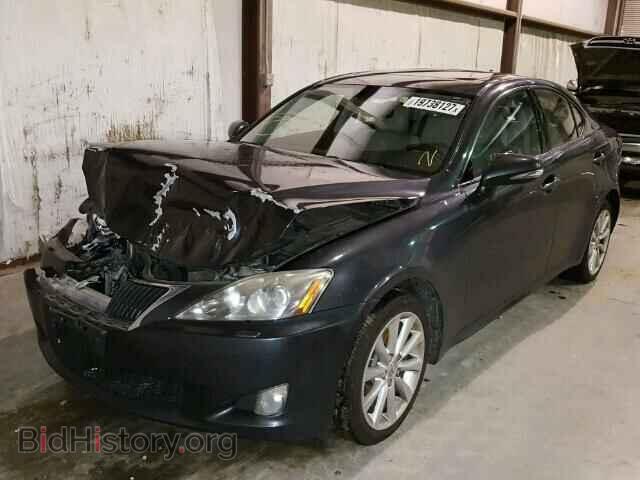 2010 LEXUS IS250 - VIN: JTHCF5C28A5039928 - Фото 2