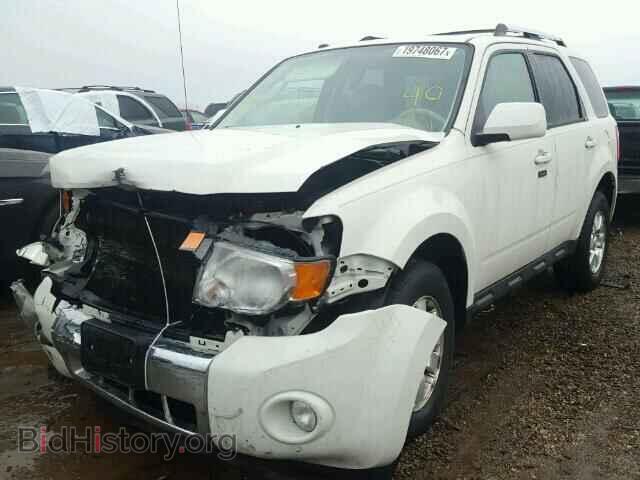 2011 FORD ESCAPE - VIN: 1FMCU0EG2BKC70650 - Фото 2