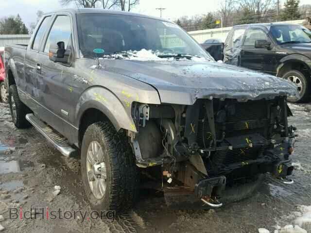 Фотография 1FTFX1ET2CFB39255 - FORD F150 2012