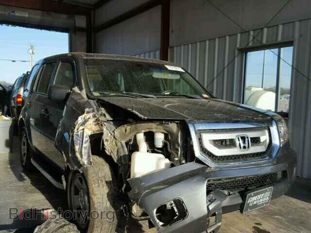 Фотография 5FNYF3H25AB007392 - HONDA PILOT 2010