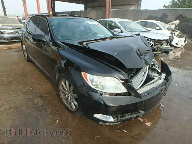 Фотография JTHBL46F995086832 - LEXUS LS460 2009