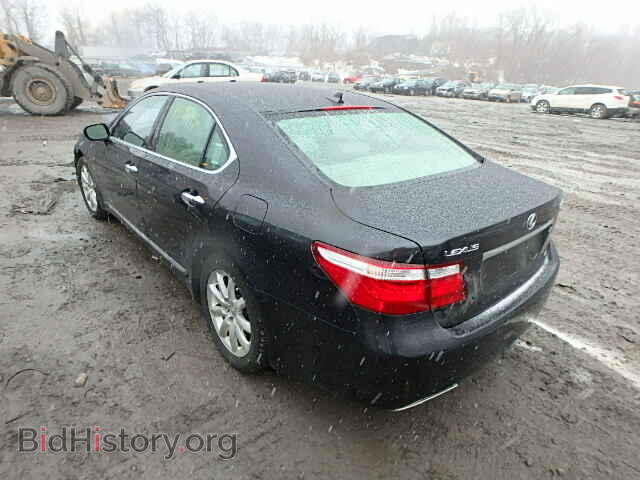 2009 LEXUS LS460 - VIN: JTHCL46F695003765 - Фото 3