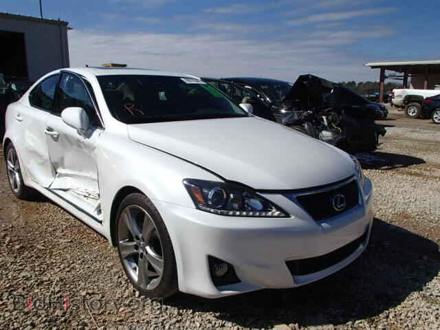 Фотография JTHBF5C2XB2101019 - LEXUS IS250 2011