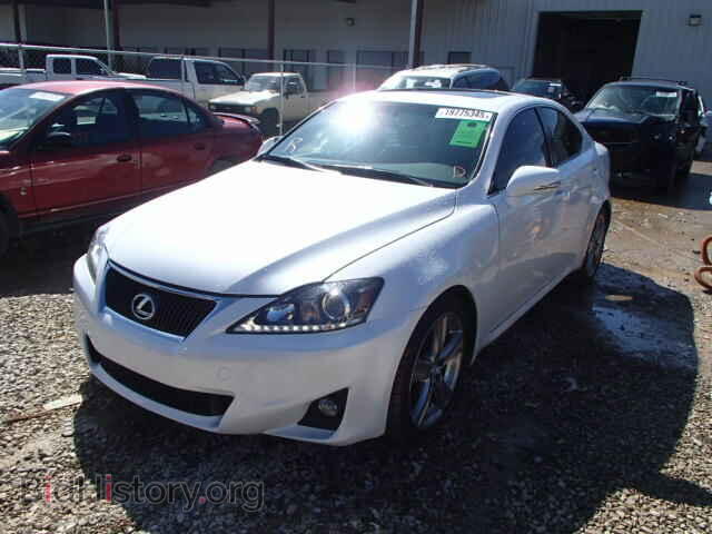 2011 LEXUS IS250 - VIN: JTHBF5C2XB2101019 - Фото 2