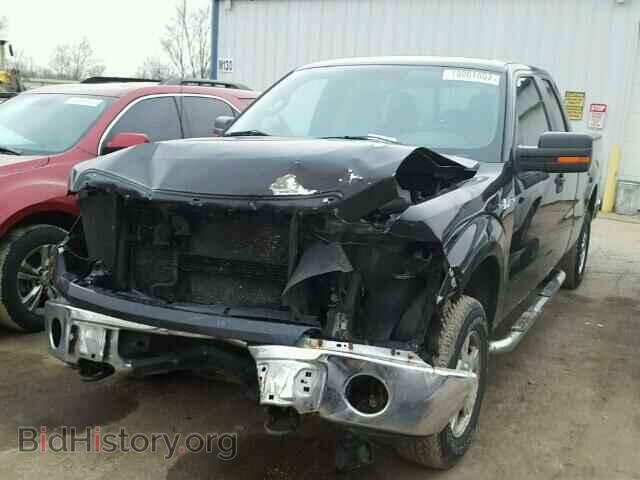 2011 FORD F150 - VIN: 1FTFX1EF4BFB97182 - Фото 2