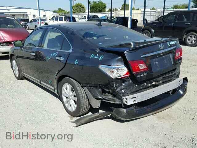 2010 LEXUS ES350 - VIN: JTHBK1EG1A2343029 - Фото 3