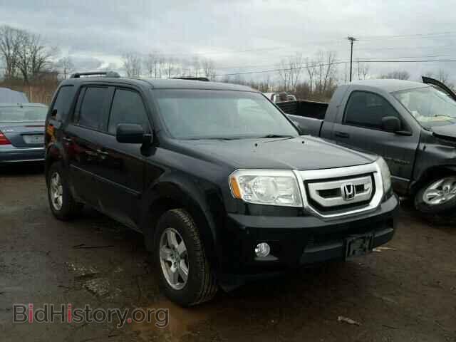 Фотография 5FNYF4H41BB051267 - HONDA PILOT 2011