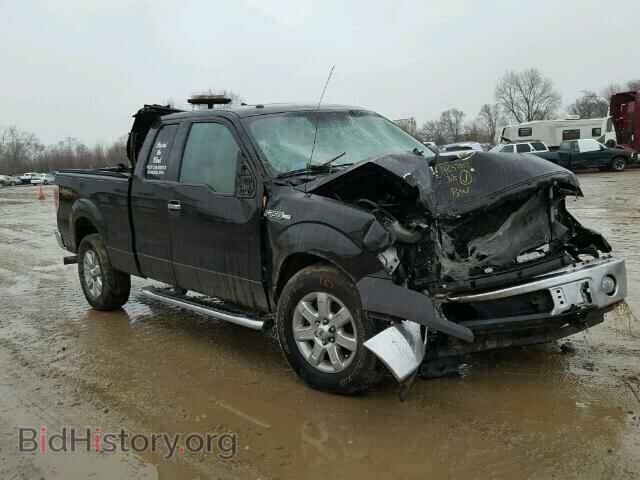 Фотография 1FTFX1EF7DFB02570 - FORD F150 2013