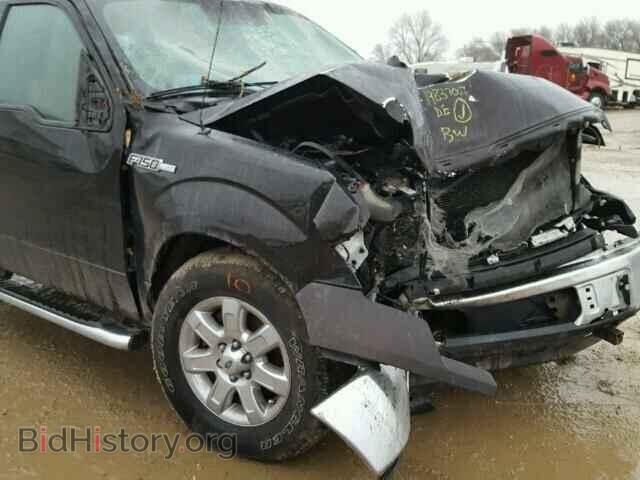 2013 FORD F150 - VIN: 1FTFX1EF7DFB02570 - Фото 9