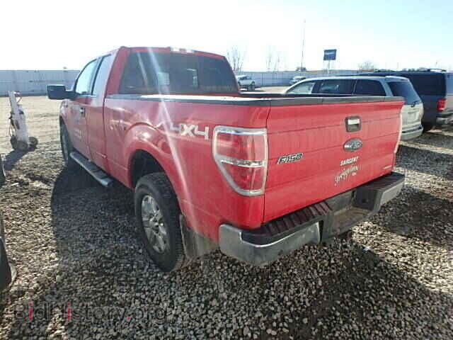 2013 FORD F150 - VIN: 1FTFX1EF0DFB02796 - Фото 3