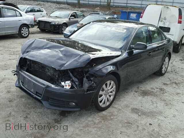 2011 AUDI A4 - VIN: WAUFFAFL7BA087115 - Фото 2