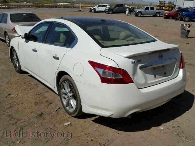 2010 NISSAN MAXIMA - VIN: 1N4AA5AP1AC825724 - Фото 3