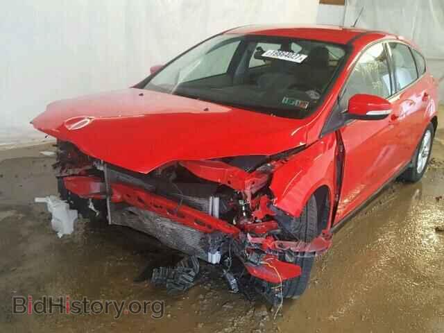 2014 FORD FOCUS - VIN: 1FADP3K20EL301120 - Фото 2