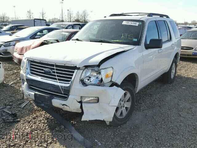 2009 FORD EXPLORER - VIN: 1FMEU73EX9UA01376 - Фото 2