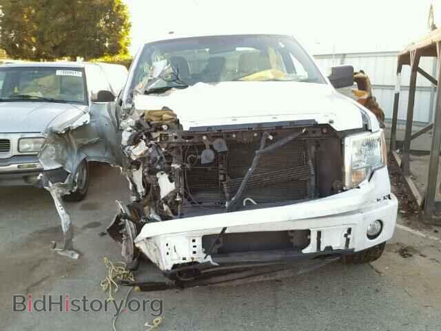 2013 FORD F150 - VIN: 1FTFX1EFXDFC12917 - Фото 9