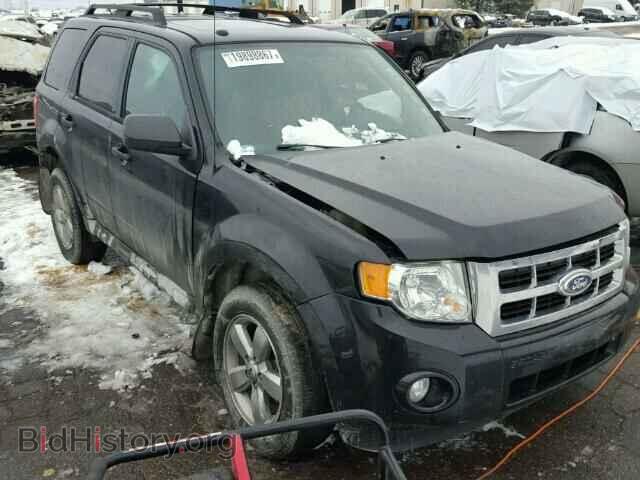 Фотография 1FMCU0DG5BKA21194 - FORD ESCAPE 2011