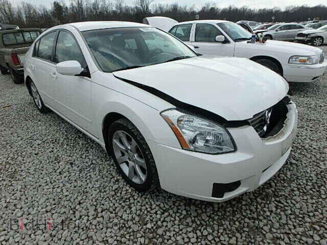 Фотография 1N4BA41E98C821797 - NISSAN MAXIMA 2008