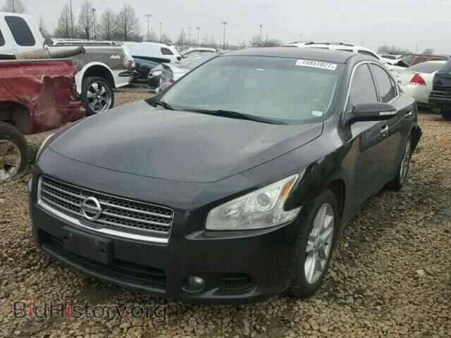 2009 NISSAN MAXIMA - VIN: 1N4AA51E59C833979 - Фото 2