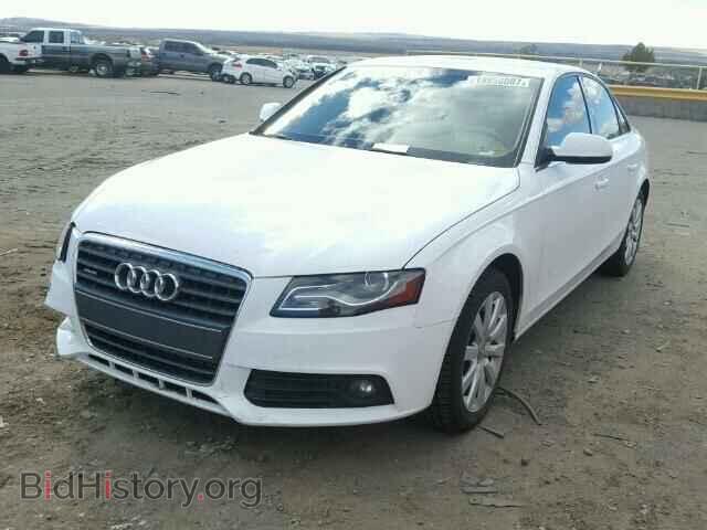 2011 AUDI A4 - VIN: WAUFFAFL4BN006452 - Фото 2