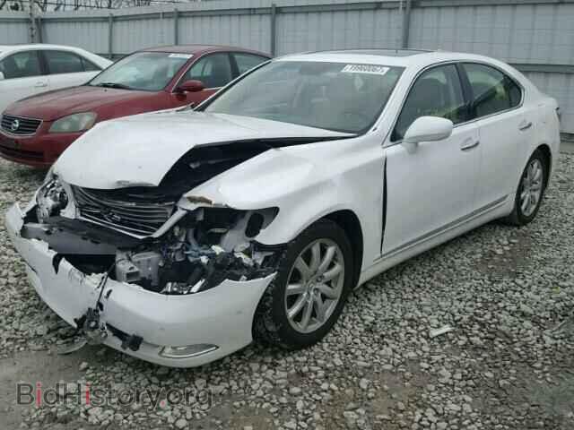 2008 LEXUS LS460 - VIN: JTHBL46F185061714 - Фото 2